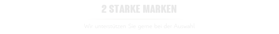 Ueberschrift Neuwagen - 2 starke Marken